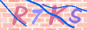 キャプチャ画像
