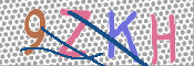 キャプチャ画像