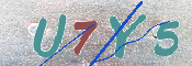 キャプチャ画像