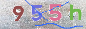 キャプチャ画像