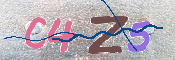 キャプチャ画像