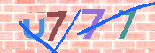 キャプチャ画像