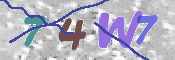 キャプチャ画像