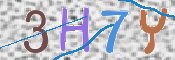 キャプチャ画像