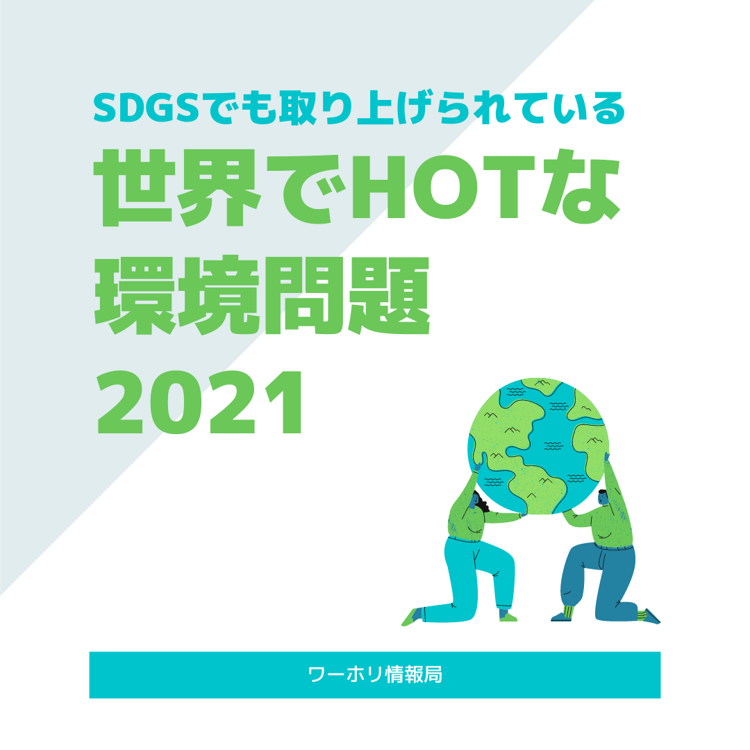 日本ワーキング ホリデー協会 公式ブログ 日本ワーキング ホリデー協会 公式ブログ