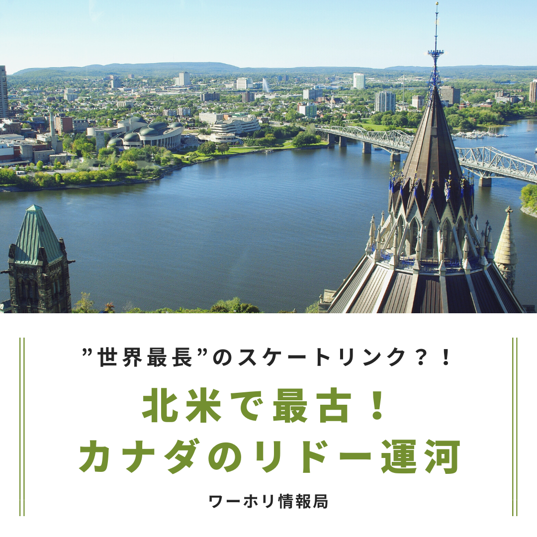 日本ワーキング ホリデー協会 公式ブログ
