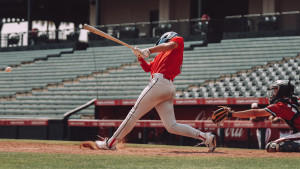 大谷翔平　マンダラチャート