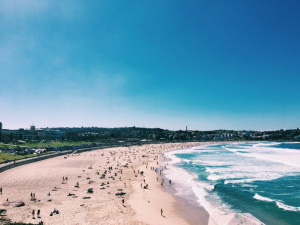 bondi