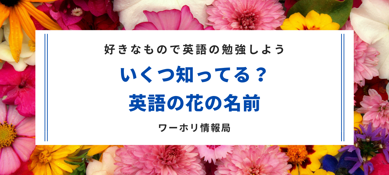 日本ワーキング ホリデー協会 公式ブログ