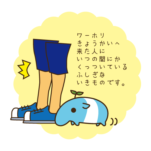follow you