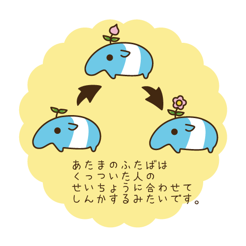 grow with you