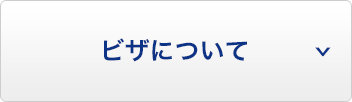 ビザについて