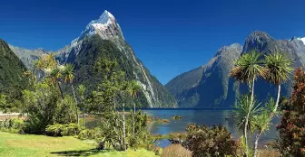 newzealand-country