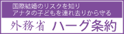 外務省　ハーグ条約ページ