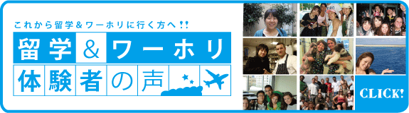 留学・ワーホリ経験者からの声