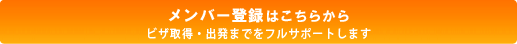 ビザの申請、ひとりでできますか？